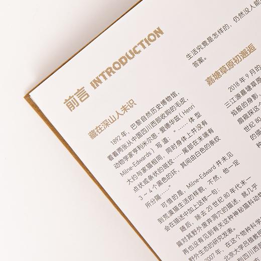 中信出版 | 中国大猫 吕植著 商品图4