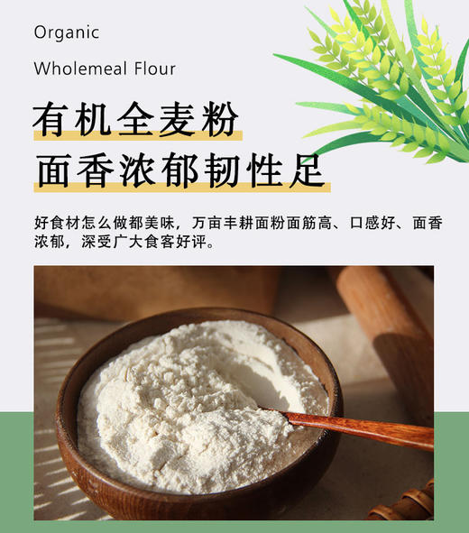 有机高筋全麦面粉 5斤装 商品图1