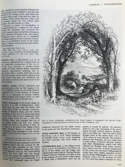 牛津英国与爱尔兰文学指南 约百幅插图 精装16开 商品图10