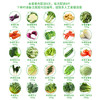 东升农场 蔬菜月卡 1025元（8次配送，每次8斤）广东省包邮 商品缩略图1