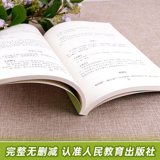 世说新语正版书原版原著完整版文言文刘义庆人教版九年级上册推荐课外阅读书籍必读世界名著人民教育出版社初中生七年级必读课外书 商品图3