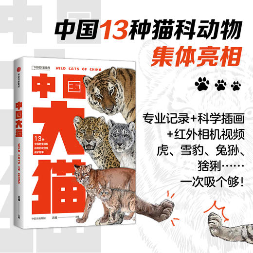 中信出版 | 中国大猫 吕植著 商品图3
