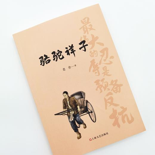 骆驼祥子 商品图2