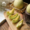 生态香瓜  | 合作生产*Ecological cantaloupe | Coproduction 商品缩略图6