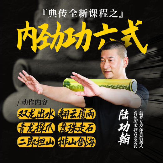 【8月10日】2群内劲功六式直播讲解 商品图0