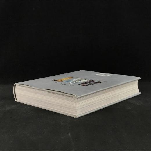 艺术史：建筑·绘画·雕塑·平面·设计 1200余幅插图 精装16开 商品图2