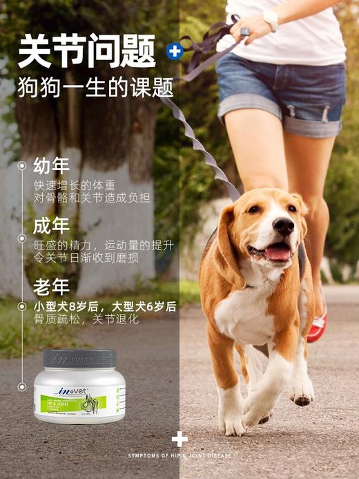 “会员冰点价”直降冰点价麦德氏鲨鱼软骨精华素340g一盒包邮 商品图1