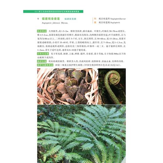 浙江乌岩岭国家级自然保护区珍稀濒危植物图鉴(精)/生物多样性丛书/雷祖培/张芬耀/刘西/浙江大学出版社/图谱/动物/分类 商品图4