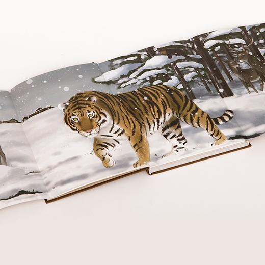 中信出版 | 中国大猫 吕植著 商品图5