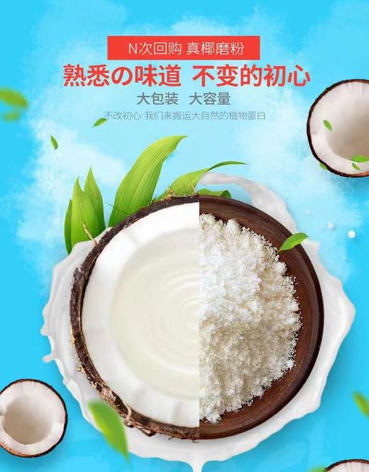 原味无添加椰子粉 到手3斤  买二斤送一斤 250g/袋 商品图0