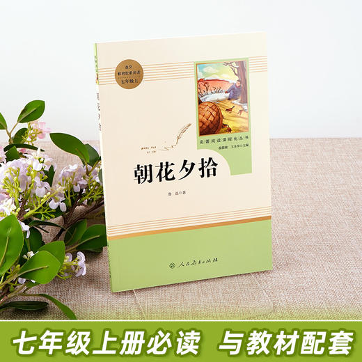 朝花夕拾鲁迅原著正版完整版七年级上册必读书人教版人民教育出版社初中生初一必读书目课外读物阅读书籍课外书文学名著西游记7上 商品图1