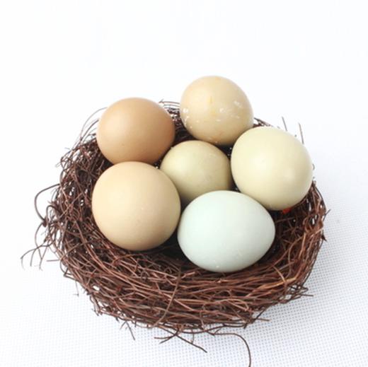 山鸡蛋 商品图0