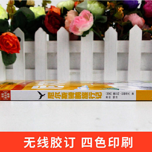 尼尔斯骑鹅旅行记 彩图注音版 （新版）班主任小学生一二三年级语文课外世界经典儿童文学名著童话故事书 商品图3