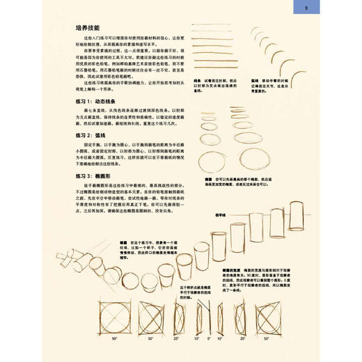 后浪正版 理解动物形态：画出立体感和生动感的关键 从零学习各个物种的肌肉解剖和骨骼系统 掌握运动的规律捕捉自然界的奇迹瞬间 商品图2