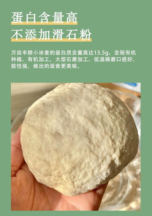 有机高筋全麦面粉 5斤装 商品图2