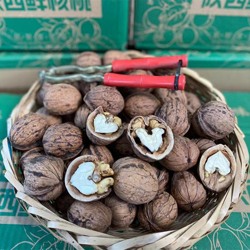 3da73db1818605205274204a5ac424