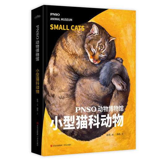 PNSO动物博物馆 小型猫科动物 商品图0