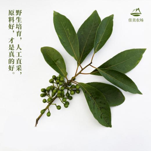 山仓子精油 | 天然驱蚊精油 植物提取 宝宝可用 | 公平贸易| 基地直发包邮* Litsea cubeba oil 商品图2