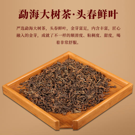 一球2019年初年华·99大树熟茶200g 商品图1