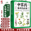 中草药鉴别与应用 李丽静 主编 中医草药学书籍用法用量保健药膳配伍禁忌疗疾验方 中医古籍出版社9787515222479 商品缩略图0
