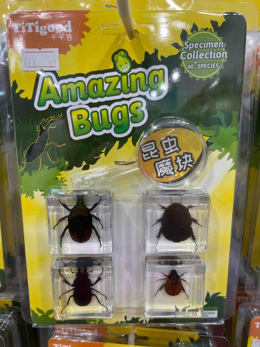 千千谷昆虫  2800209      【新】昆虫组合4个装(1405)昆虫类 商品图0