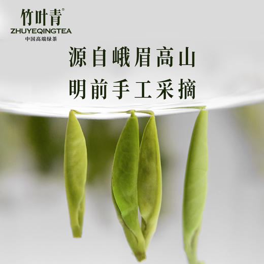 春茶现货竹叶青茶叶峨眉高山绿茶特级论道金箔花纹礼盒208g