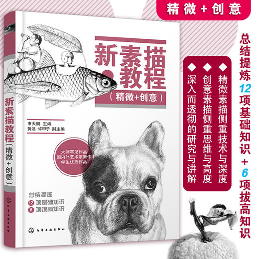 (仓发) 新素描教程（精微＋创意）/化学工业出版社/9787122394989 商品图0