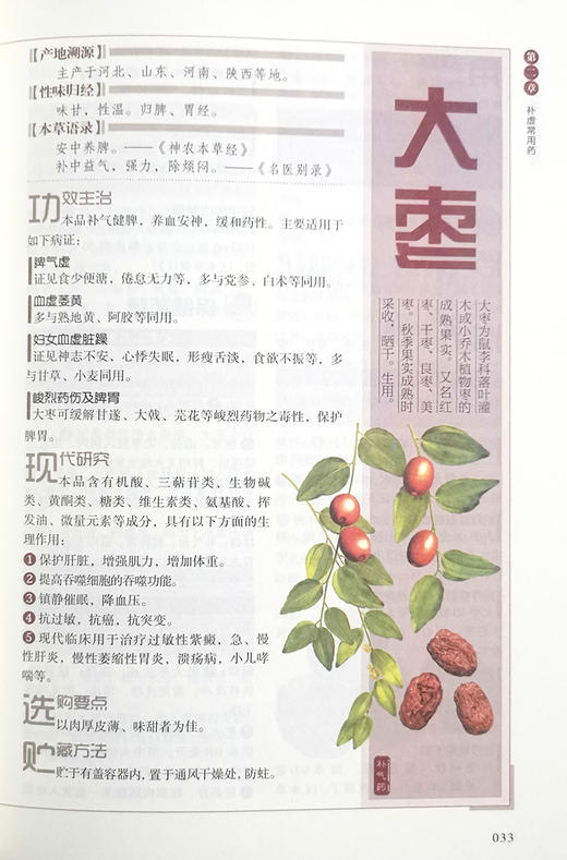 中草药鉴别与应用 李丽静 主编 中医草药学书籍用法用量保健药膳配伍禁忌疗疾验方 中医古籍出版社9787515222479 商品图4