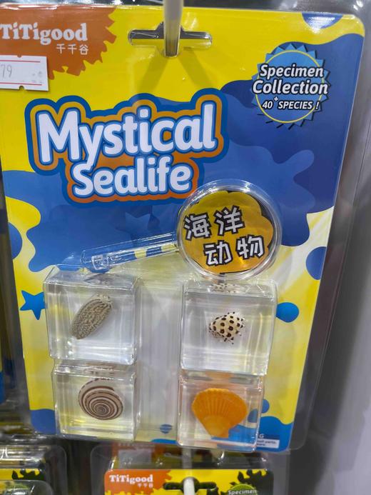 千千谷昆虫  2800230  【新】昆虫组合4个装(1410)海洋类 商品图0