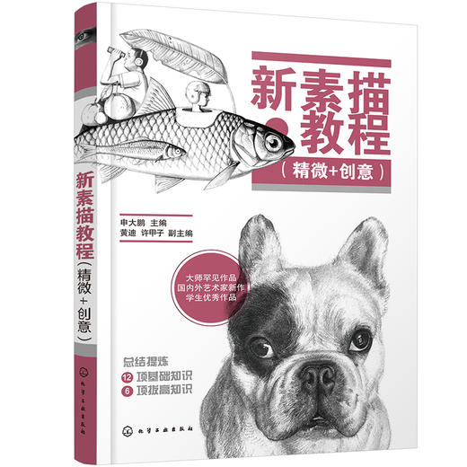 (仓发) 新素描教程（精微＋创意）/化学工业出版社/9787122394989 商品图1