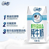 伊利QQ星原生DHA纯牛奶195ml*12盒 商品缩略图1