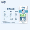 伊利QQ星原生DHA纯牛奶195ml*12盒 商品缩略图2
