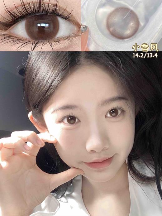 平价年抛和半年抛组合色板 Legal Loli全系列 （同品牌多副更划算 选款完整色板在详情页) 咸奶油是半年抛 商品图2