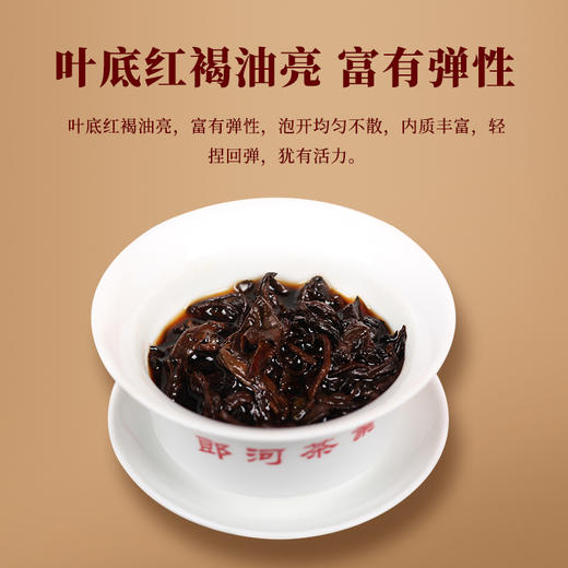 一球2019年初年华·99大树熟茶200g 商品图3