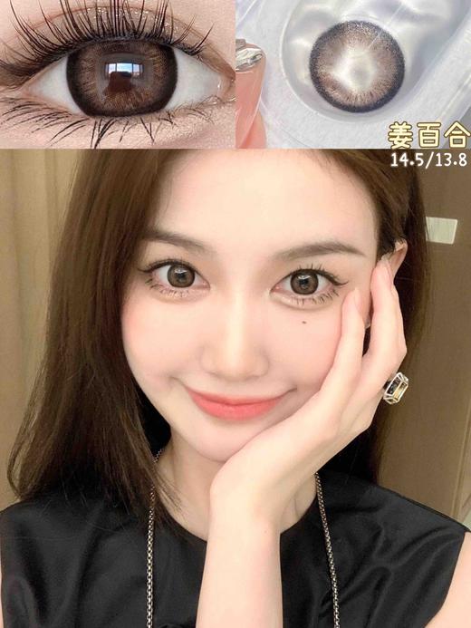 平价年抛和半年抛组合色板 Legal Loli全系列 （同品牌多副更划算 选款完整色板在详情页) 咸奶油是半年抛 商品图3