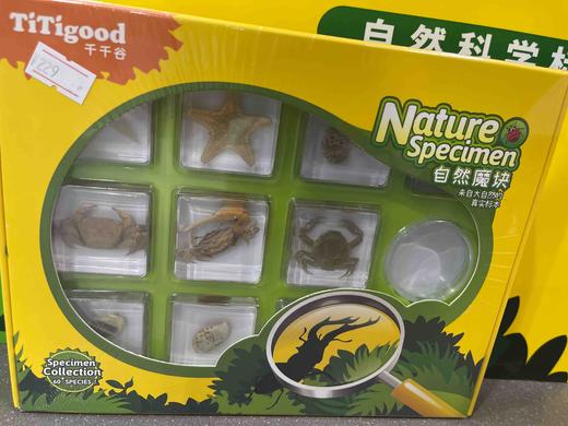 千千谷昆虫 2800285      【新】昆虫组合10个装(1104) 商品图0