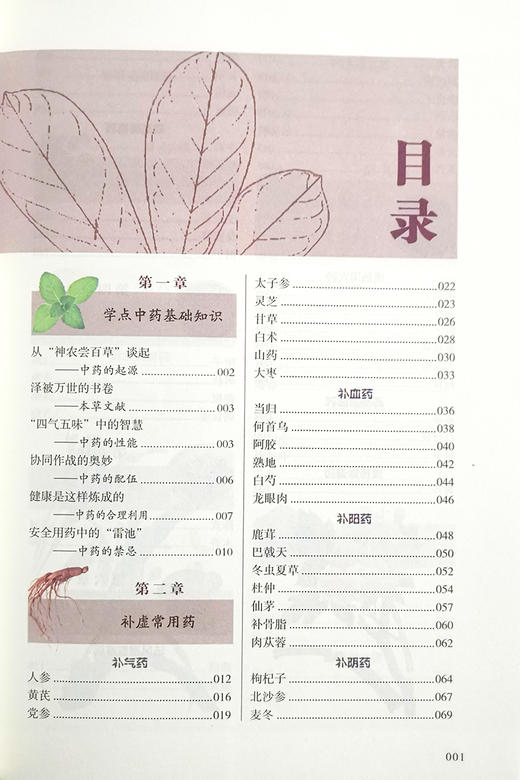 中草药鉴别与应用 李丽静 主编 中医草药学书籍用法用量保健药膳配伍禁忌疗疾验方 中医古籍出版社9787515222479 商品图3