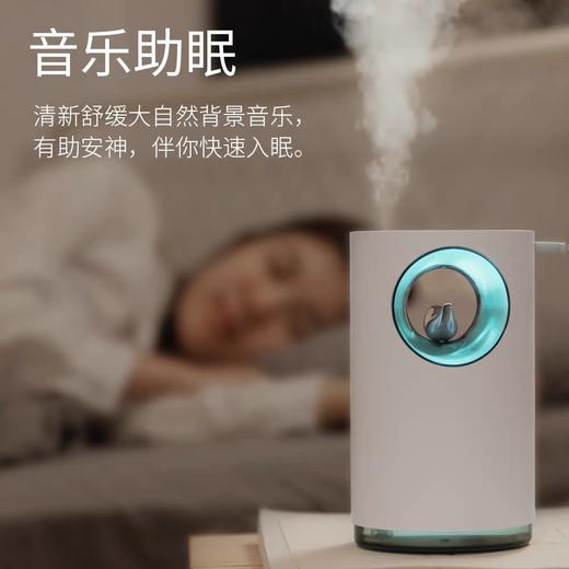 【云粉节】【4.5折】7楼鼎易数码创意音乐大容量带夜灯USB充电器新款加湿器吊牌价198折后价89 商品图1