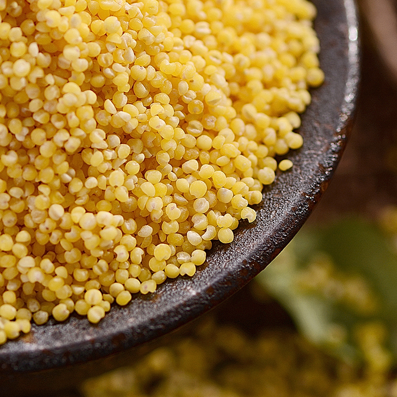 《老友专享：立减20》来自东北黑土地的有机黄小米5斤，有机认证米香浓郁，米油丰富，有粘性煮粥做饭的理想小米