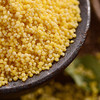 《老友专享：立减20》来自东北黑土地的有机黄小米5斤，有机认证米香浓郁，米油丰富，有粘性煮粥做饭的理想小米 商品缩略图0