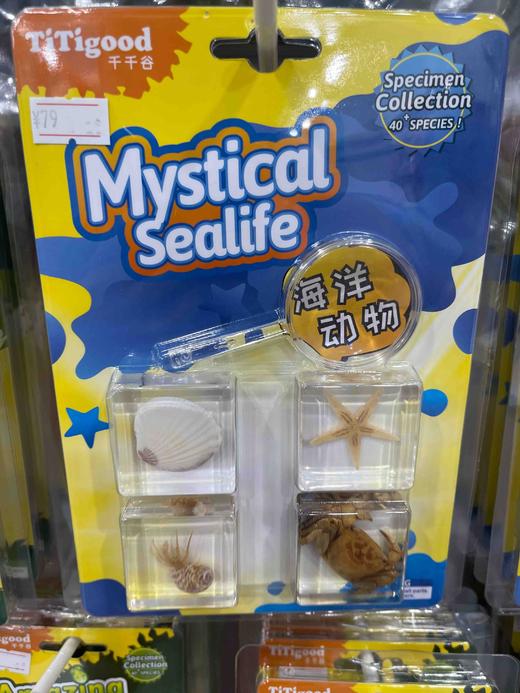 千千谷昆虫  2800223      【新】昆虫组合4个装(1409)海洋类 商品图0