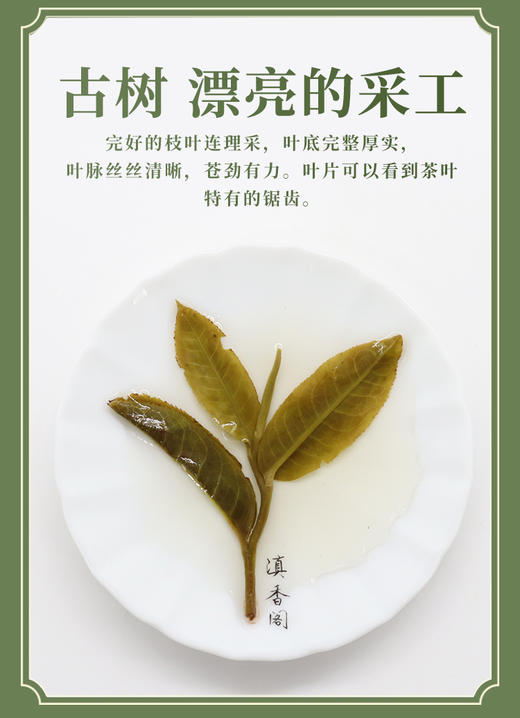 拿卡生普 400克散茶 商品图3