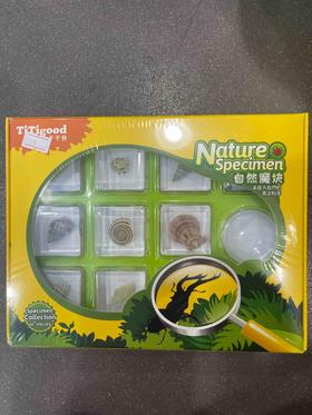 千千谷昆虫    2800292     【新】海洋动物组合10个装(1103)