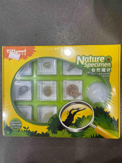 千千谷昆虫    2800292     【新】海洋动物组合10个装(1103) 商品图0