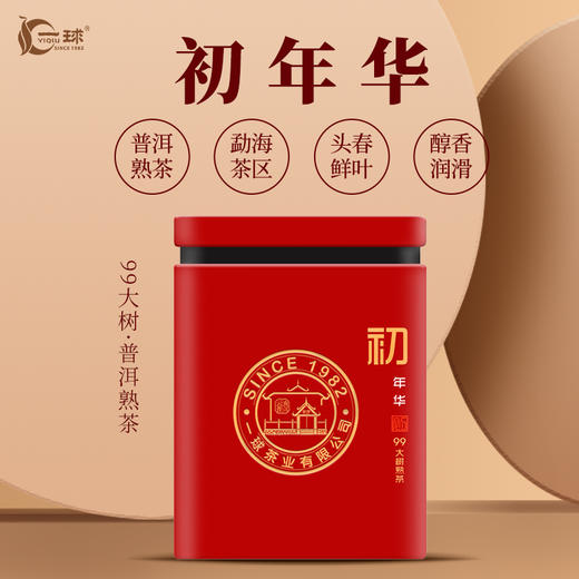 一球2019年初年华·99大树熟茶200g 商品图0