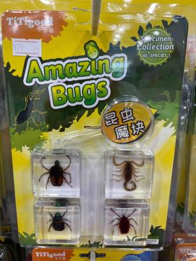 千千谷昆虫   2800179     【新】昆虫组合4个装(1402)动物类