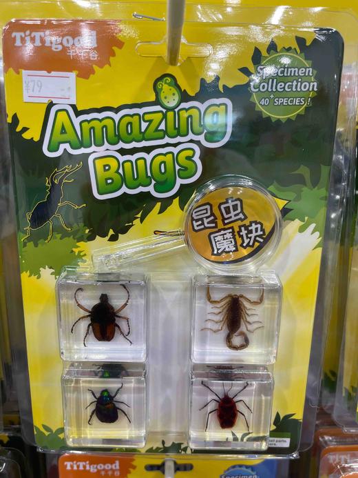 千千谷昆虫   2800179     【新】昆虫组合4个装(1402)动物类 商品图0