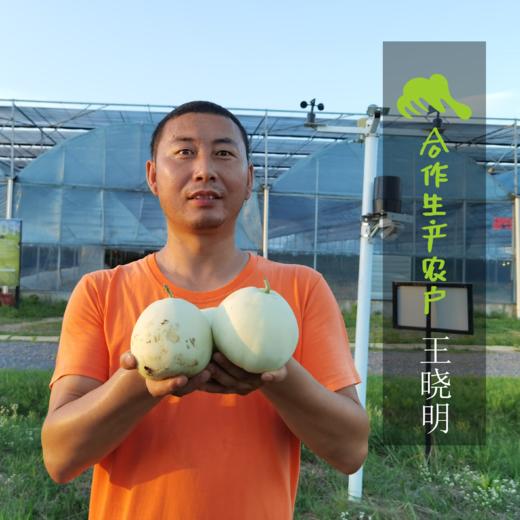 生态贝贝南瓜  | 合作生产*Ecological Pumpkin | Coproduction 商品图1