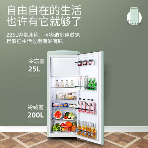 DAEWOO韩国大宇电冰箱家用双开门冷柜节能静音宿舍用复古小型冰箱 商品图1