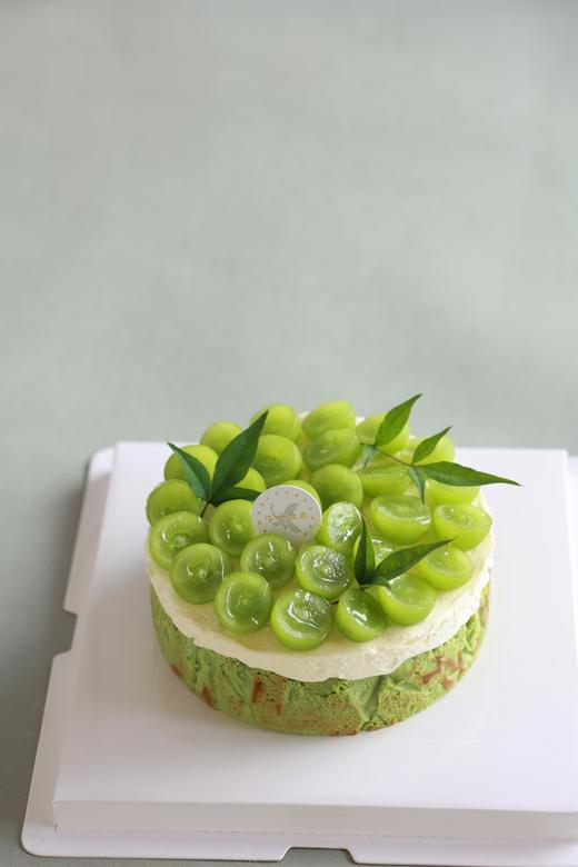 青提开心果巴斯克 商品图0